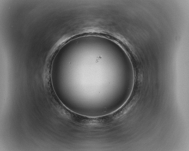X0000116261359200911301145