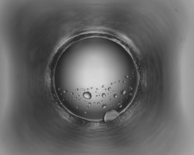 X0000116261360200911301145