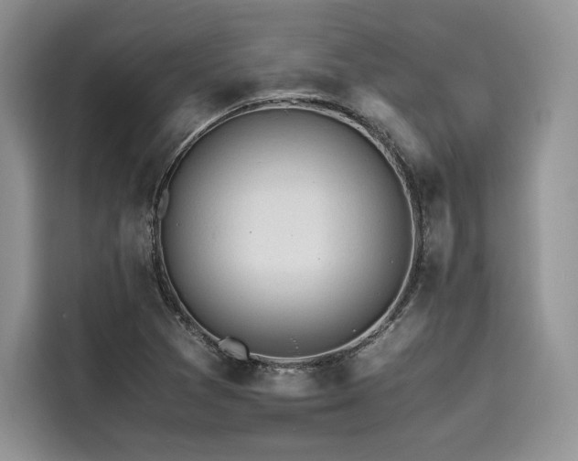 X0000116261361200911301145
