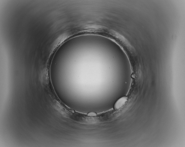 X0000116261362200911301145