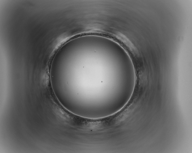 X0000116261363200911301145
