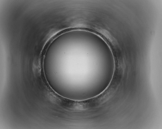 X0000116261364200911301145