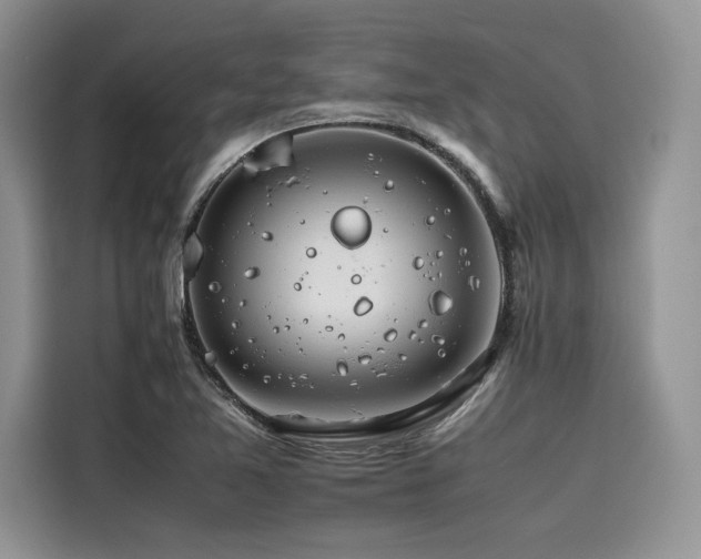 X0000116261365200911301145