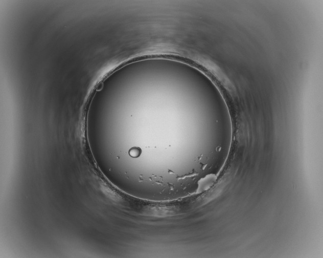 X0000116261366200911301145