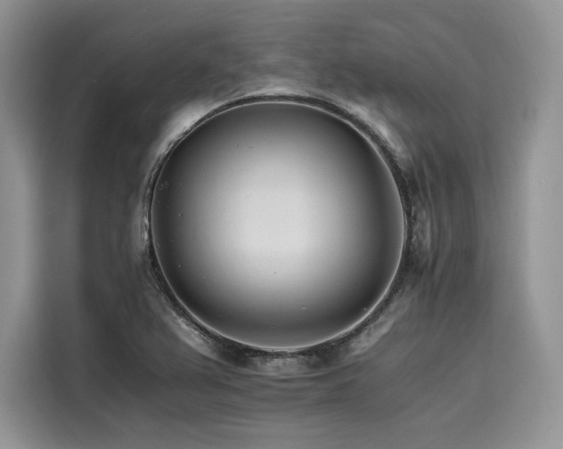 X0000116261367200911301145