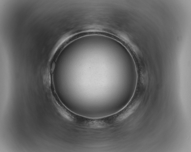 X0000116261368200911301145