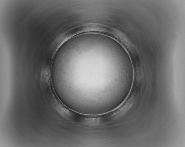 X0000116261369200911301144