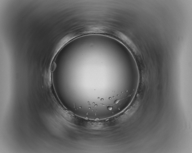 X0000116261370200911301144