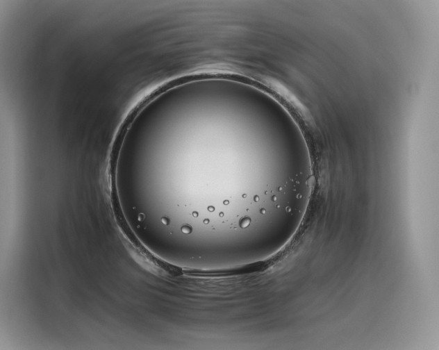X0000116261372200911301144