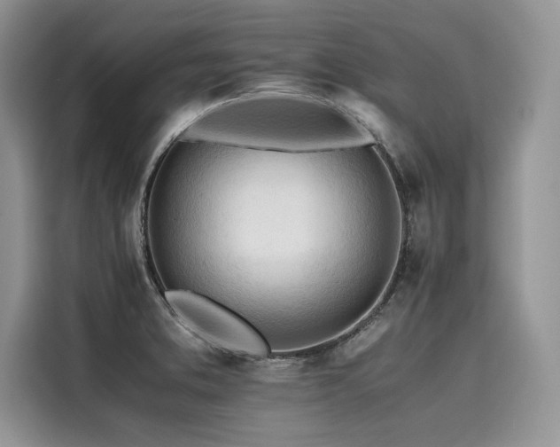 X0000116261373200911301144