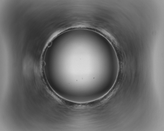 X0000116261374200911301144