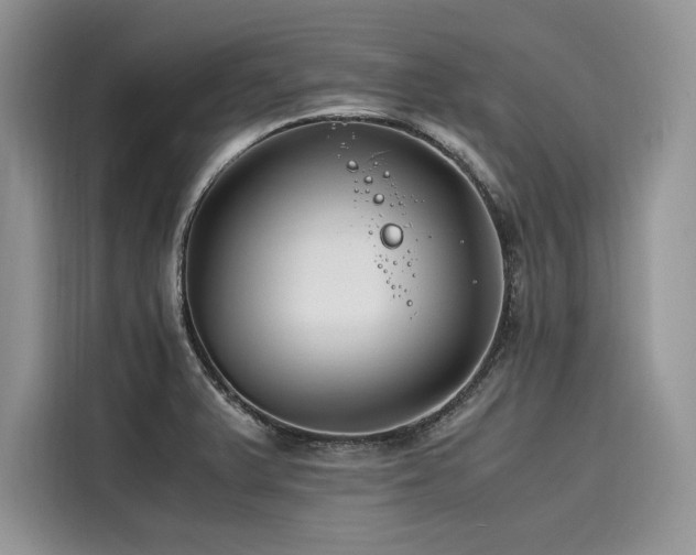 X0000116261375200911301144