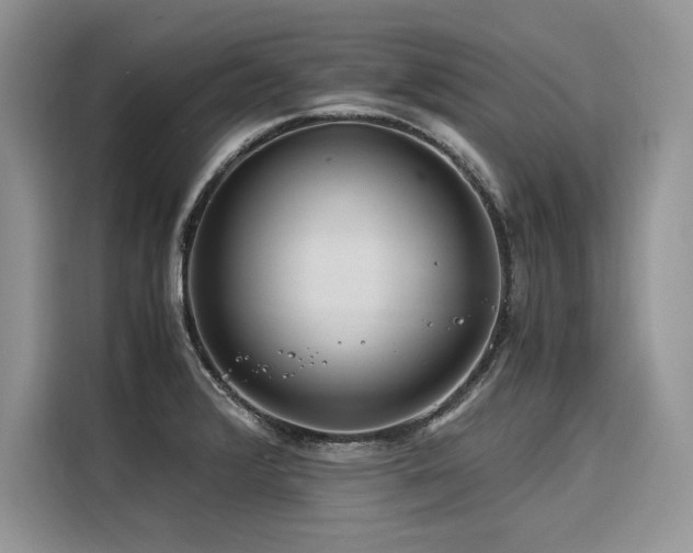 X0000116261376200911301144