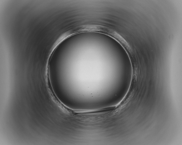 X0000116261378200911301144