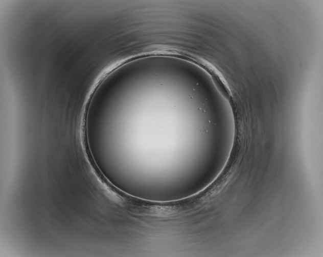 X0000116261379200911301144