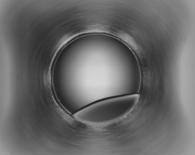 X0000116261380200911301144