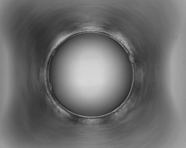 X0000116261381200911301144