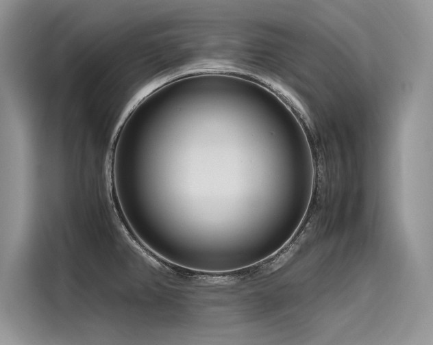 X0000116261382200911301144