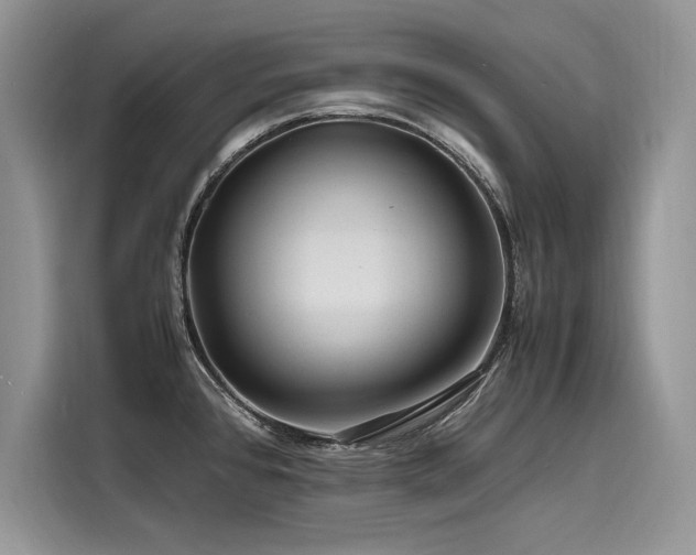 X0000116261384200911301144