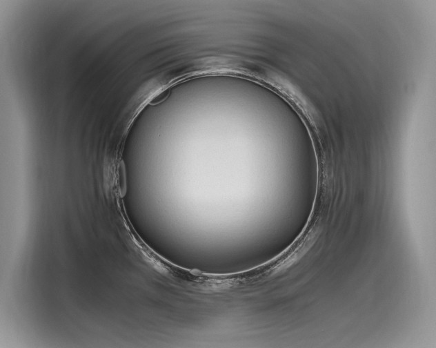 X0000116261385200911301144
