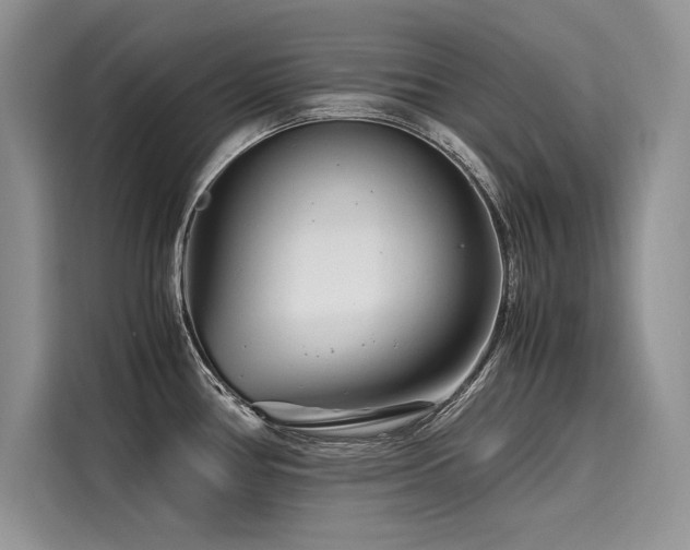 X0000116261386200911301144