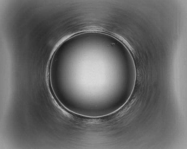 X0000116261387200911301144