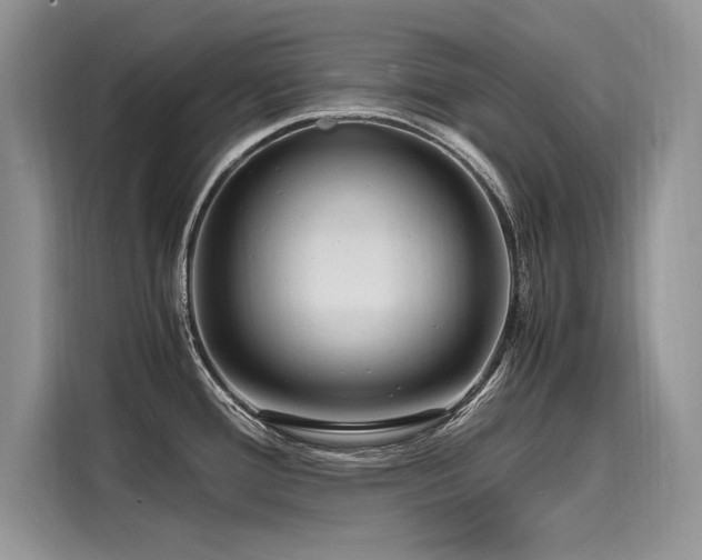 X0000116261388200911301144