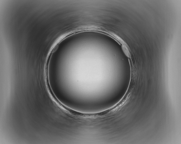 X0000116261389200911301144