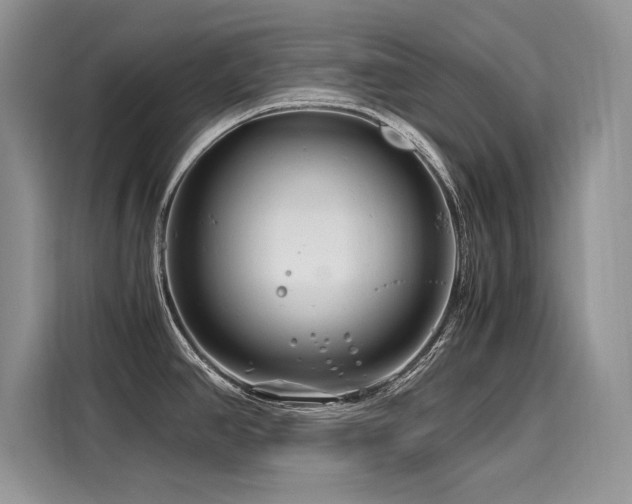 X0000116261390200911301144