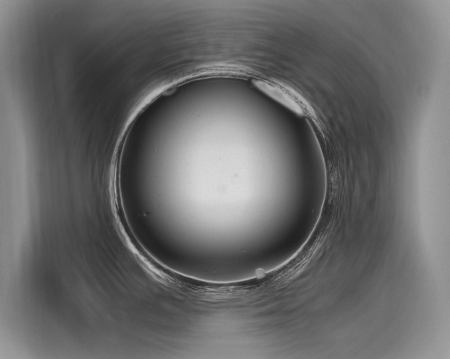 X0000116261391200911301144