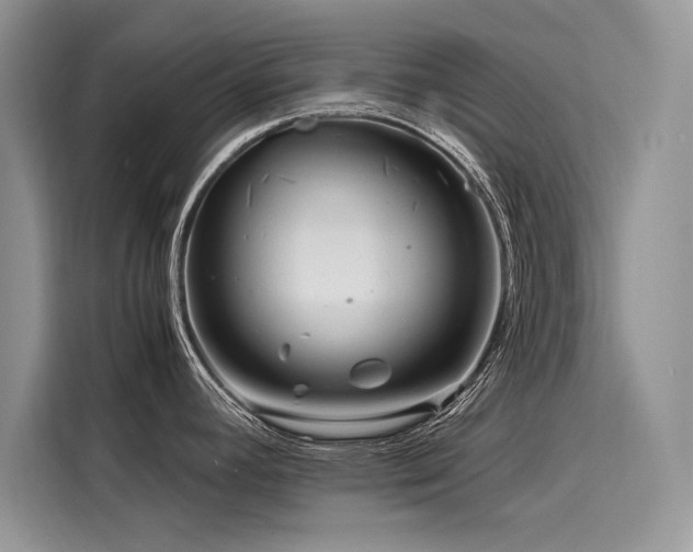 X0000116261392200911301144