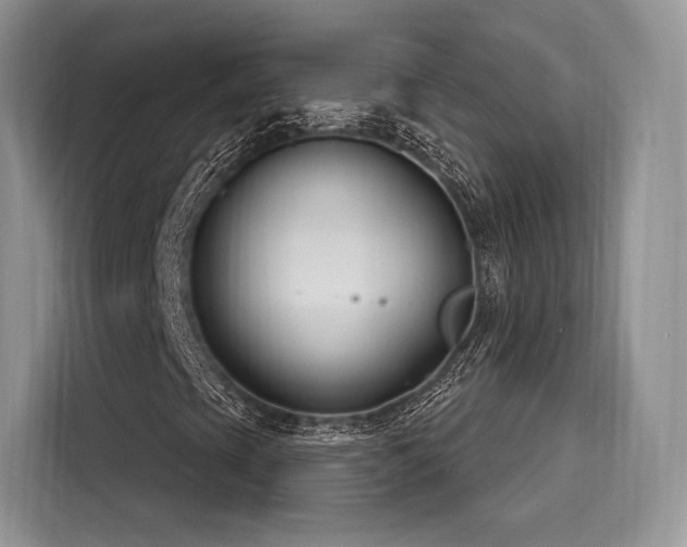 X0000116261393200911301144