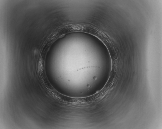 X0000116261394200911301144