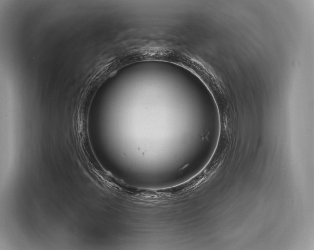 X0000116261396200911301144