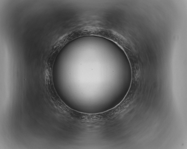 X0000116261397200911301144