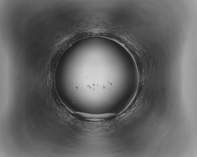 X0000116261398200911301144