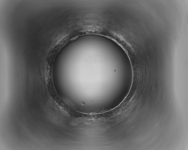 X0000116261399200911301144