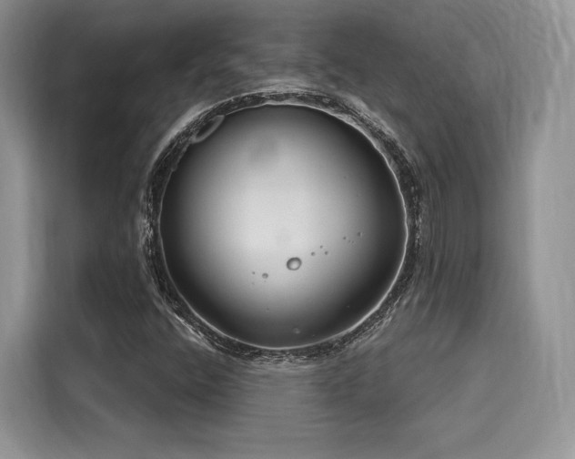 X0000116261400200911301144