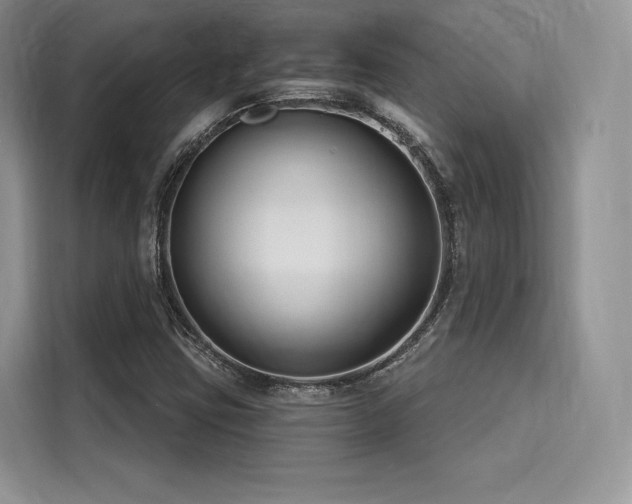 X0000116261403200911301144