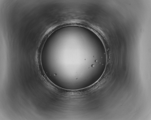 X0000116261404200911301144