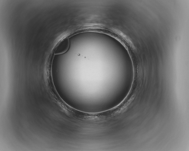 X0000116261405200911301144