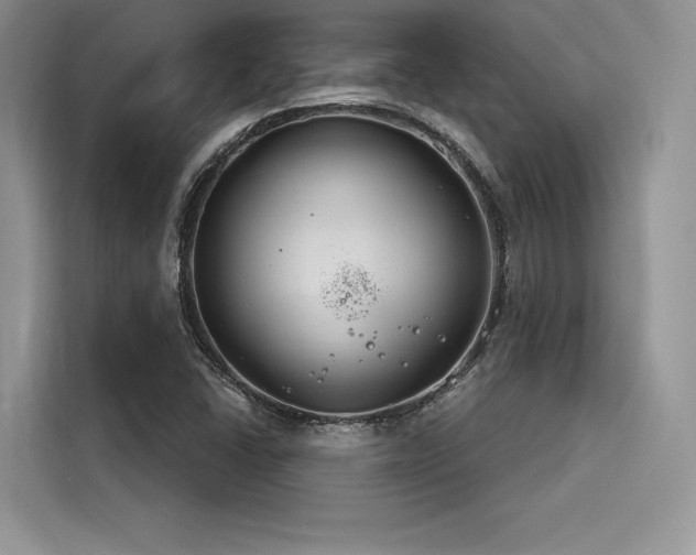 X0000116261406200911301144