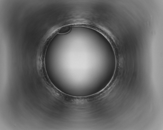 X0000116261407200911301144