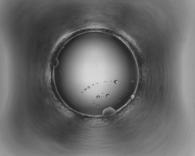 X0000116261408200911301144