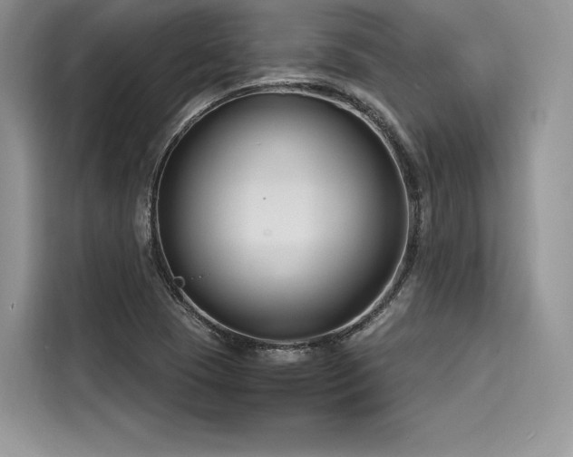 X0000116261409200911301144