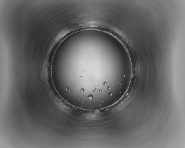 X0000116261410200911301144