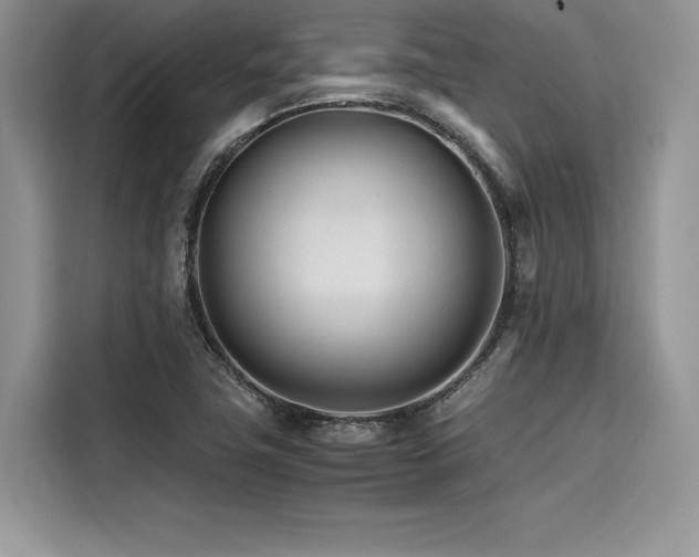 X0000116261411200911301144