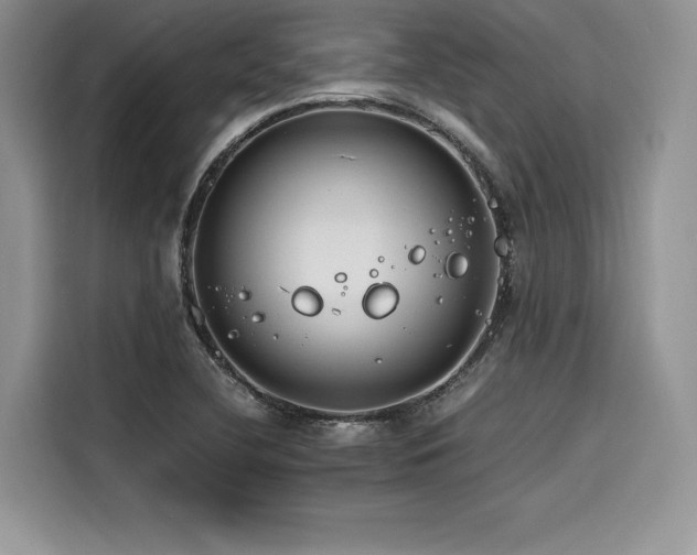 X0000116261412200911301144