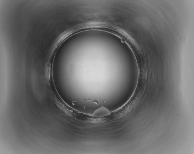 X0000116261413200911301144