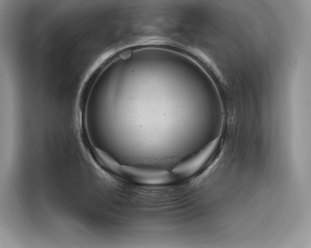 X0000116261414200911301144